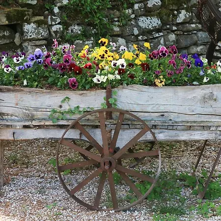 Borgo Di Carpiano Farm stay *